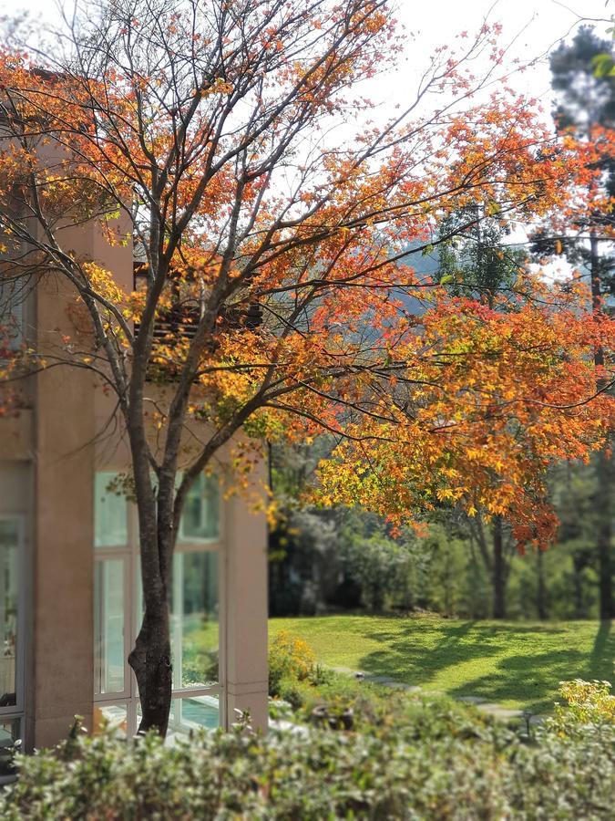 Around The Tree Manor Apartment Shitan Room photo