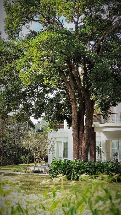 Around The Tree Manor Apartment Shitan Room photo