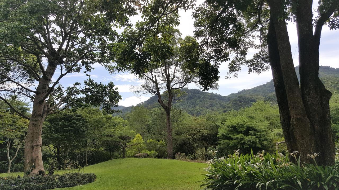 Around The Tree Manor Apartment Shitan Room photo